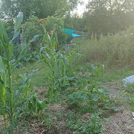 Tente En Permaculture Pirate Creysse